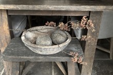 Ligustrum bessentak – donker rood/bruin